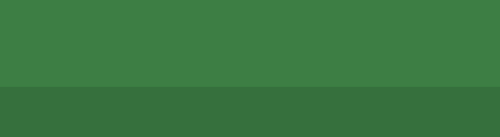 bg-banner-verde